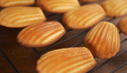 madeleines